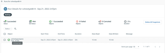 Cohesity Protection Details