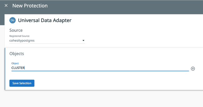 Cohesity Object Name